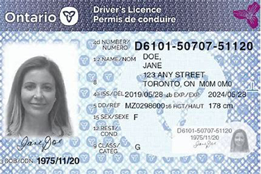 Ontario drivers licence